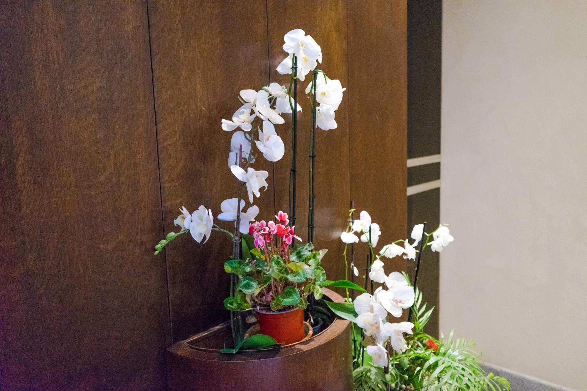 Disciplini Apartment A 5 Min Dal Duomo Milano Ngoại thất bức ảnh